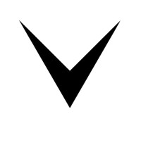 Vellora.AI logo - Similar company to Leadwave