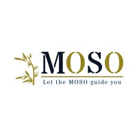 MOSO Mühendislik Çözümleri Eğitim ve Danışmanlık Tic. Ltd. Şti. logo - Similar company to Base Solutions
