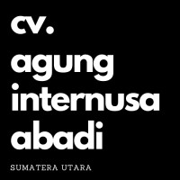 CV Agung Internusa Abadi logo - Similar company to Cv. Sinar Niaga Elektrik Indonesia
