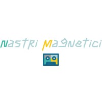 Nastri Magnetici logo - Similar company to Movitek - Nastri Trasportatori
