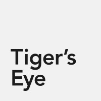 Tiger's Eye logo - Similar company to Everywhere Dao