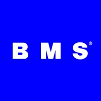 B M S logo - Similar company to Wedostuff Creative
