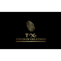 TOG  - Touch of Greatness consulting logo - Similar company to Evolve Marketing