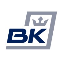 Board King logo - Similar company to Baobab Engineering Advisory