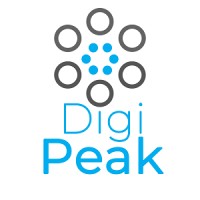 Digi Peak logo - Similar company to Impulse Media Ltd.