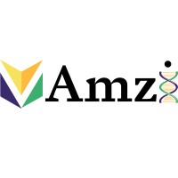 Amzi logo - Similar company to Amzi Jmy Advisory