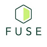 Fuse Vectors logo - Similar company to Cordulus
