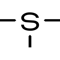 SYNTECA logo - Similar company to Datalan