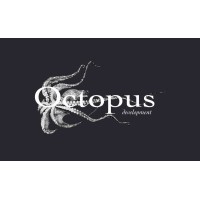 Octopus development logo - Similar company to Elblasy.App