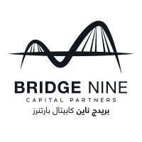Bridge Nine Capital Partners logo - Similar company to Blex Consulting Group