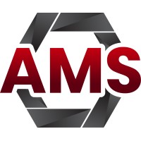 AMS Professional Services logo - Similar company to Proficient Consulting Group