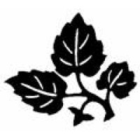 Maxalea, Inc. logo - Similar company to Lothorian Pools