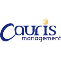 Cauris Management - Capital Investissement logo - Similar company to Kaidar Consulting (M&A - Capital Raising)
