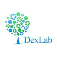 DexLab Analytics logo - Similar company to Prosynergy Analytics