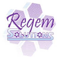 Regem Solutions logo - Similar company to Rubus Group