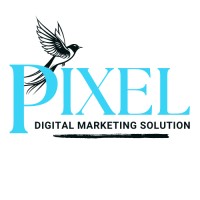 Pixel Digital Marketing Solution logo - Similar company to Pixels Pro