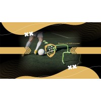 Football Coach - Training Drills logo - Similar company to Myfieldplus