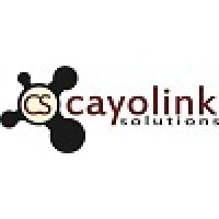 Cayolink Solutions Ltd