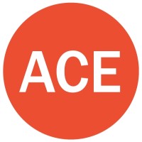 ACE POS Solutions Ltd. 🛒 logo - Similar company to Aareas Interactive Inc.
