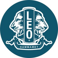 Leo Club Hammamet logo - Similar company to Digital Meteora