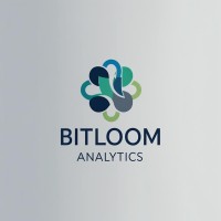 BitLoom Analytics logo - Similar company to Bitloom Solutions