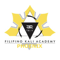 FKA Phoenix logo - Similar company to Control Physical Therapy