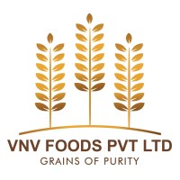 VNV FOODS PRIVATE LIMITED logo - Similar company to Gizmosupport