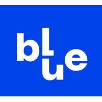Blue Consult logo - Similar company to Tokeniza