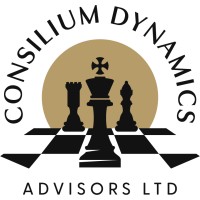 Consilium Dynamics Advisors Ltd. logo - Similar company to Arongroups