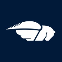 PegAzuls AeroDesign logo - Similar company to Keep Flying
