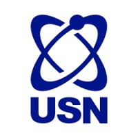 USN France logo - Similar company to Usn
