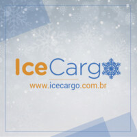 Ice Cargo logo - Similar company to 2Solv
