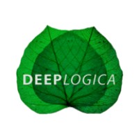 DeepLogica logo - Similar company to Addresshub