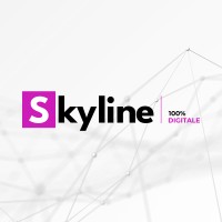 SKYLINE COM AND INCENTIVE logo - Similar company to Stouf Digital