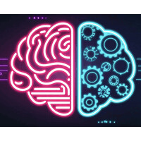 Daily Pill of AI logo - Similar company to Er Data Solutions