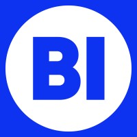 BusinessInsight logo - Similar company to Businessinsight Pro