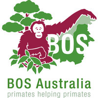 Borneo Orangutan Survival (BOS) Australia logo - Similar company to Wildlife Rescue Centre Jogja