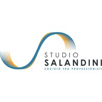 STUDIO SALANDINI logo - Similar company to Studio Regis