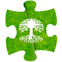 The MotherTrees logo - Similar company to B—Bruce