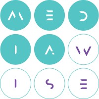 Mediawise Society logo - Similar company to Hst (Poineering Ipad Apps)