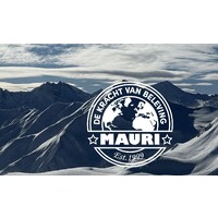 Mauri logo - Similar company to Pandava Nv