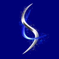 SilverLineSwap logo - Similar company to Zecurechain