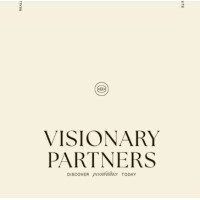 Visionary Partners Web logo - Similar company to Peak Performancex