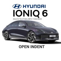 HYUNDAI IONIQ 6 logo - Similar company to Dpm Hyundai