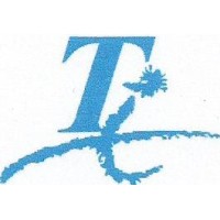 Tesol Institute logo - Similar company to Cabinet Ifc