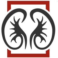 Houston Kidney Consultants, Pllc
