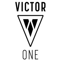 Victor One Risk Management Limited logo - Similar company to Core Security Services