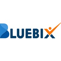 Bluebix Solutions logo - Similar company to Anansys Staffing, Llc
