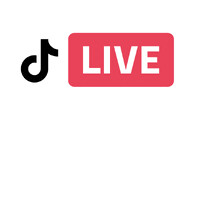 TikTok LIVE LATAM logo - Similar company to Dreams Factory Group