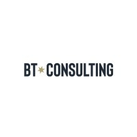 BT CONSULTING logo - Similar company to Damir Textile